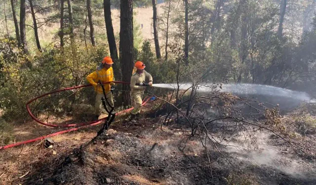 Muğla'da sabaha kadar yangınla mücadele