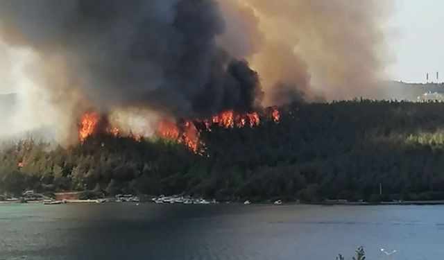 Açıklama geldi: Bodrum'daki yangında zarar gören alanlar bir şirkete mi verildi?