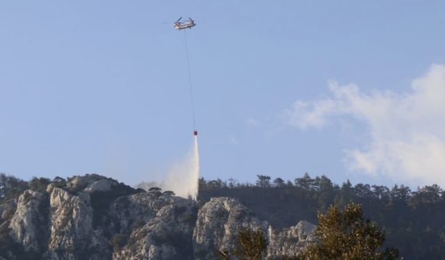 Orman Genel Müdürlüğü açıkladı: Muğla'daki yangın kontrol altına alındı