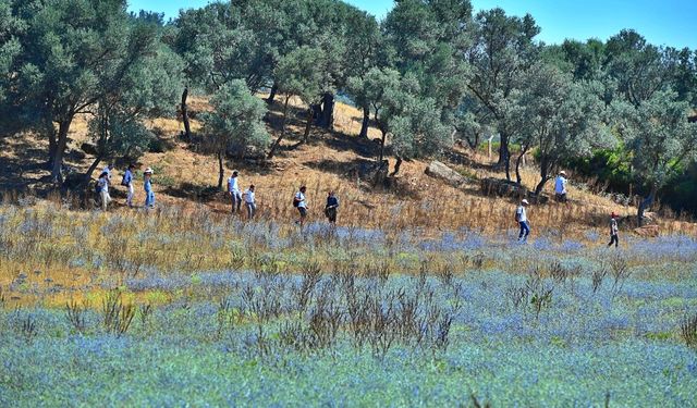 İzmir'in saklı cenneti: Olivelo Ekolojik Yaşam Parkı nerede, nasıl gidilir?