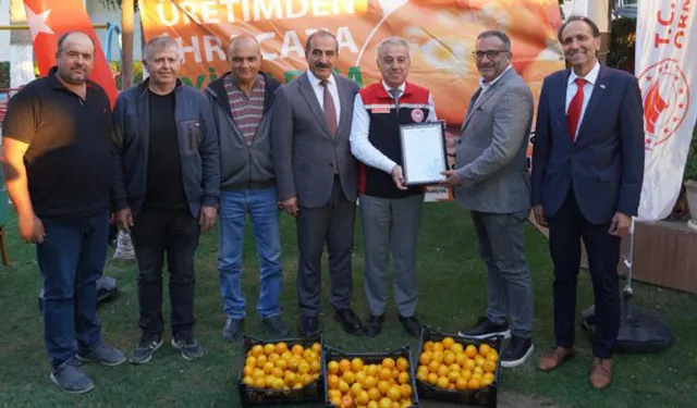 Seferihisar'dan yola çıktı: Satsuma mandalinası Balkanlar ve Avrupa yolunda