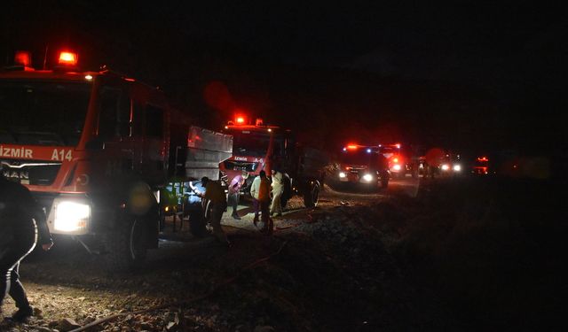 İzmir'deki orman yangını kontrol altına alındı