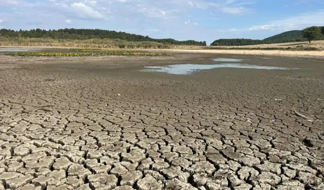 Bir zamanlar Kuş Cenneti'ydi, son hali yürekleri parçaladı