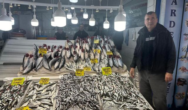 Balıkesir'de balık sezonu hızlı başladı: Tezgahlarda bolluk yaşanıyor