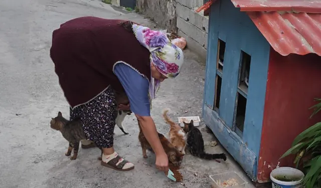 Basmane’nin fedakâr kadınları: Sokak hayvanları için sevgiyle mücadele ediyorlar