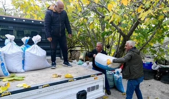 Bornovalı üreticinin yardımına belediye koştu: Ücretsiz nakliye hizmeti veriliyor