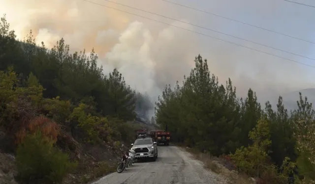 Bursa'daki orman yangını Balıkesir'e sıçradı: 3 köy boşaltılıyor