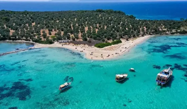 İzmir'in turistik ilçesi: Dikili'nin logosu ne anlama geliyor?