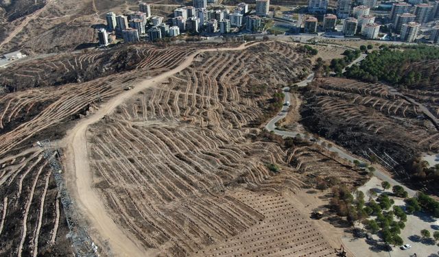 Dikkat çeken görüntü: İzmir küllerinden doğuyor