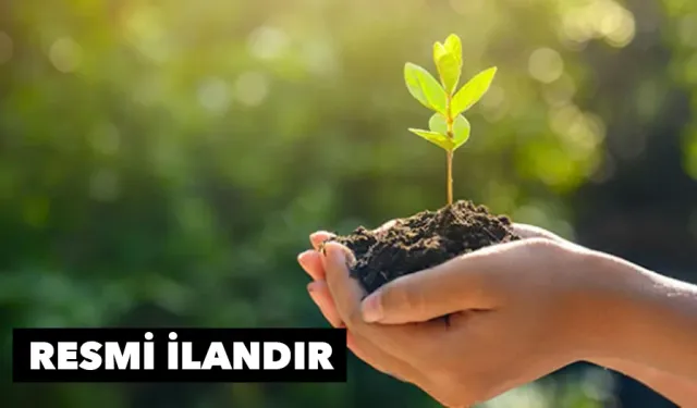 Bitki satın alınacaktır