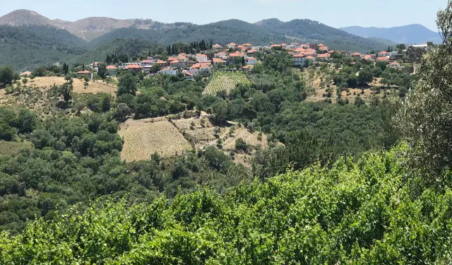 Türkiye'nin en başarılısı seçildi: İzmir'in bu köyü hem güzelliği hem de ürünleri ile adını duyurdu