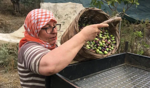 Günlük 3 bin TL yevmiyesi var, çalışanı yok