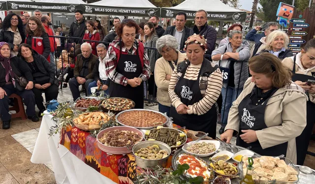 Muğla'da zeytinyağlı yemek yarışması: Hünerli ellerden en lezzetli tarifler