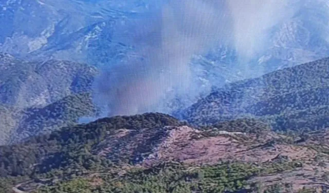 Muğla Köyceğiz ilçesinde çıkan yangın kontrol altına alındı