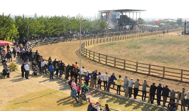 Türkiye Rahvan Yarışları Şampiyonası: İzmir'de kıyasıya mücadele ettiler