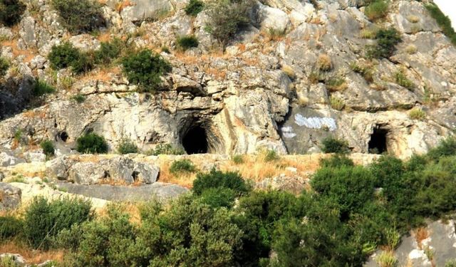 Homeros Vadisi ve Bornova Deresi nerededir? Nasıl gidilir?