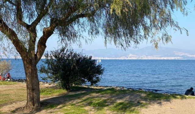 İzmir’in merkezinde bir doğa harikası: İnciraltı Kent Ormanı