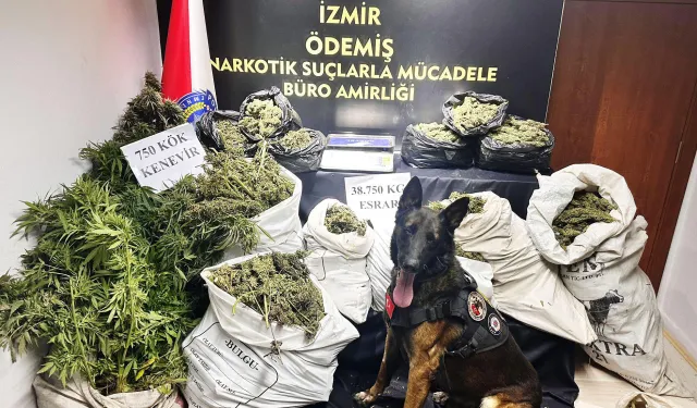 Hayvan damında uyuşturucu imalatı yapıyordu: İzmir'de 1 şüpheli tutuklandı