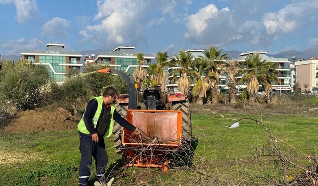 Ödemiş'in budanan ağaçları, ihtiyaç sahiplerine yakacak oluyor