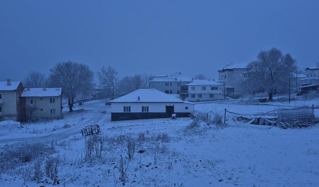 Aydın’da kar yağışı kartpostallık görüntüler oluşturdu