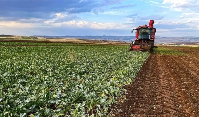 Tarımsal destek için son çağrı: 2025 ÇKS başvuruları 31 Aralık'a kadar yapılmalı!