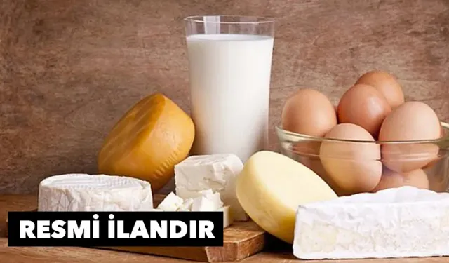 Gıda malzemeleri alımı