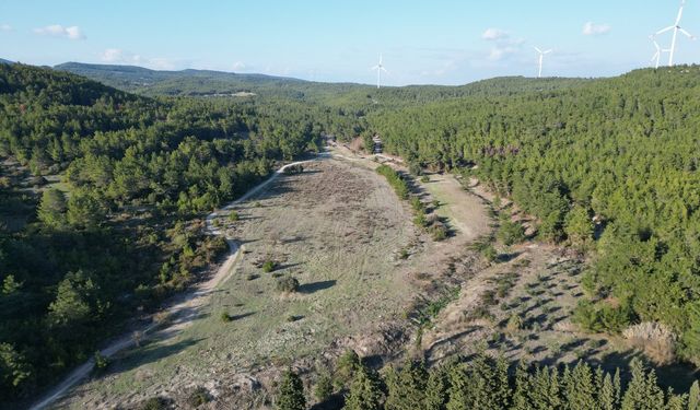 İzmir'de doğa için mücadele: Başkan Balkan'dan vatandaşa çağrı