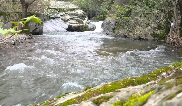 İzmir'in saklı cenneti: Armutlu Kanyonu ve Tez Geçidi Şelalesi