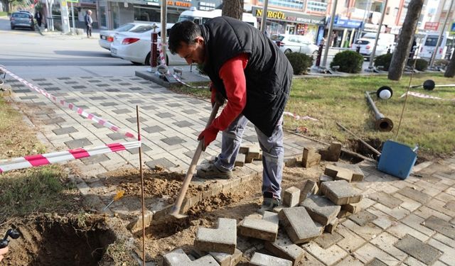 Menderes'te eskiyen elektrik tesisatları yenileniyor