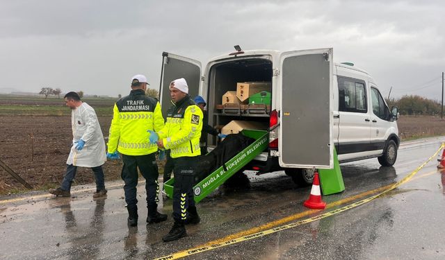 Milas'ta yol kenarında erkek cesedi bulundu