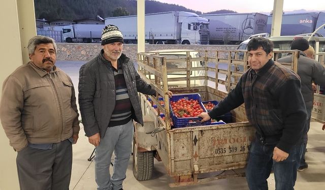 Muğla'da üreticiye büyük destek: Milyonlarca liralık yardım yapıldı