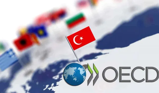 OECD'den Türkiye tahmini: 2025 yılında neler olacak?