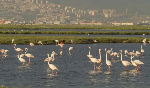 Tugay’ın projesi mahkemeden döndü: Davanın kaybedeni İzmir Büyükşehir!