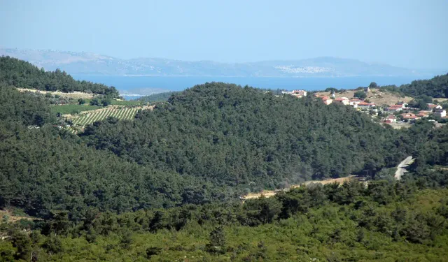 Urla'nın cennet köyünde yanan alanlar imara açıldı: 650 villa yapılacak, yanmayan ağaçlar kesilecek