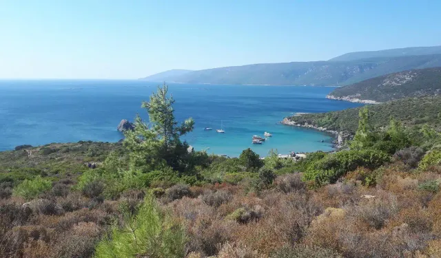 İzmir'de hem orman içinde hem deniz kenarında bir köy: Yağcılar