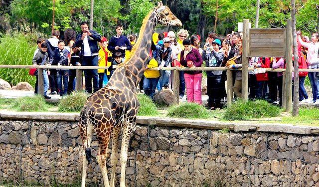 İzmir'de çocuklara sömestr gezisi: Tüm minikler davet edildi