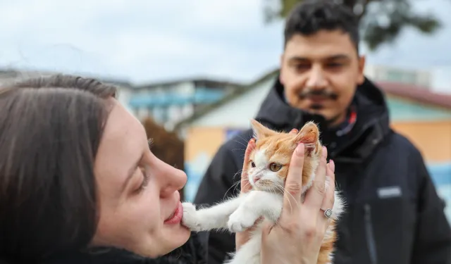 Buca'da mucizenin adı olmuştu: Minik Mucize yeni yuvasına kavuştu