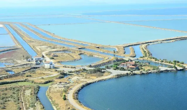 Türkiye'nin en büyük deniz tuzlası: İzmir'de burayı ziyaret etmeyi unutmayın!