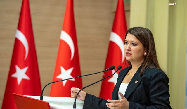 CHP'li Gökçen'den Yargı Reformu eleştirisi: Yılan hikayesine dönen uzun bir süreç, sonucu ise koskoca bir sıfır!