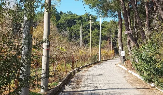 İzmir'e 45 dakika uzaklıkta huzurlu bir rota: İhsaniye Köyü nerede? İhsaniye Köyü'ne nasıl gidilir?