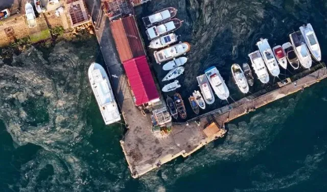 Kabus geri döndü: Marmara Denizi'nde müsilaj yeniden görüldü