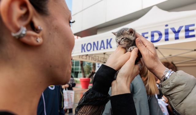 Konak’ta 2024 sokak hayvanlarının yılı oldu: 7 bin patili cana kucak açıldı