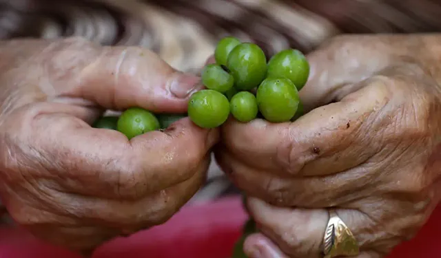 İzmir'in tescilli lezzeti: Çoğu kişi bilmese de bu köyde asırlardır yapılıyor