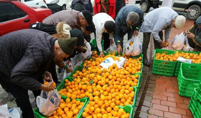 Üreticiden halka: Bodrum'da vatandaşa 10 ton mandalina dağıtıldı