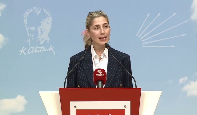 CHP'li Atalar'dan 'otel yangını' tepkisi: Bakanlığın denetim mekanizmaları yetersiz!