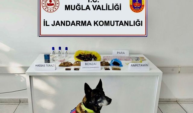 Bodrum’da uyuşturucu madde operasyonu: 1 kişi tutuklandı