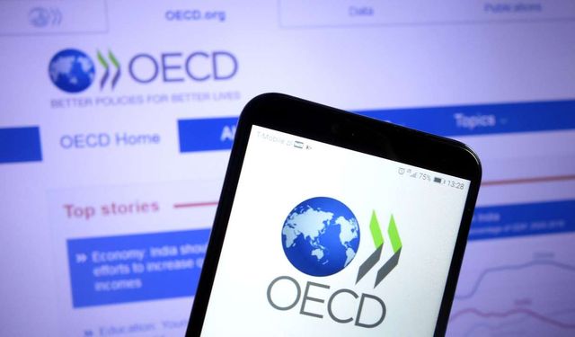 İPA Başkanı Gökçe: OECD raporuna göre her alanda geriye gidiyoruz!