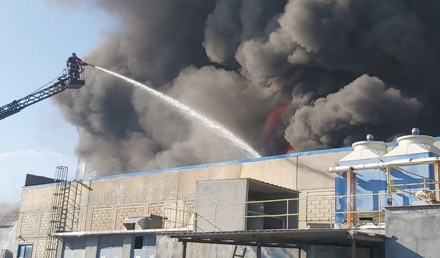 Oyuncak fabrikasında yangın: Dumanlar gökyüzünü kapladı, o anlar kamerada