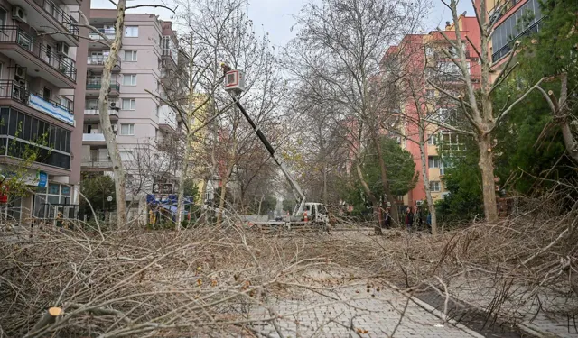 Parklar, bahçeler, kaldırımlar ve meydanlar: Bornova’da kışa hazırlık başladı