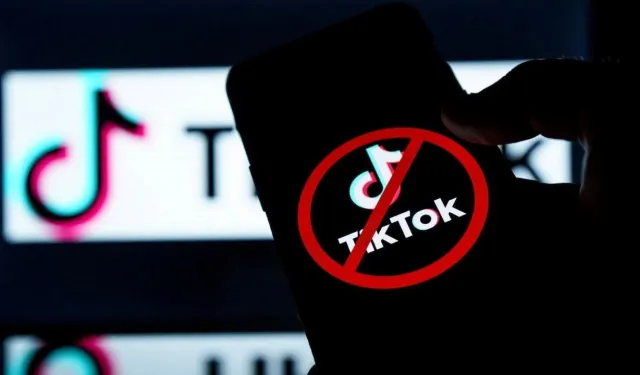 Mahkeme yasağı onayladı: O ülkede TikTok resmen kapandı